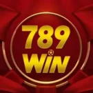 789Win91 com – Bùng nổ Jackpot, khuyến mãi tuyệt đỉnh