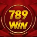 789Win95 com – Nhận ngay 30% ưu đãi cho lần nạp đầu